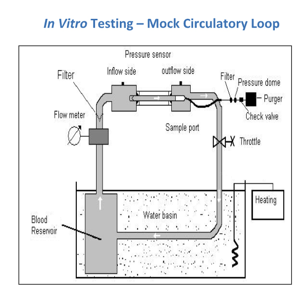 Image showing in-vitro testing